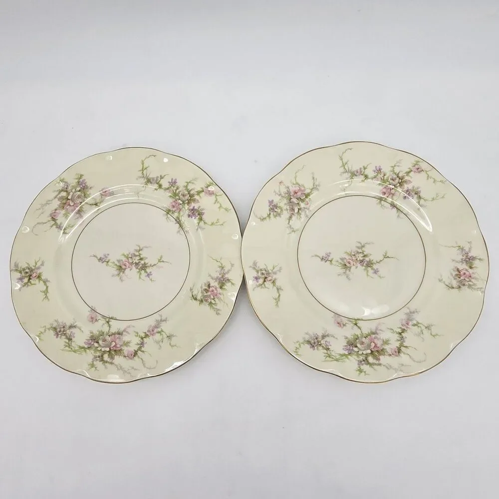 4 Theodore Haviland New York Rosalinde 7.5